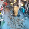 Ocurre conato de incendio en negocio de comida japonesa, en Morelia