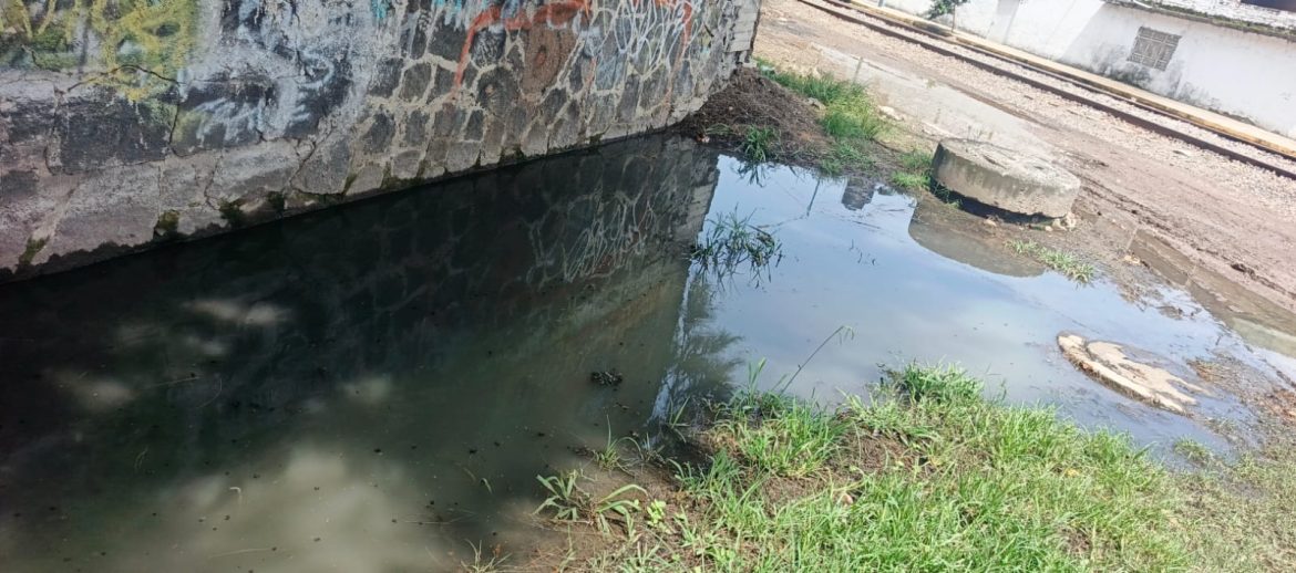 Estancamiento de aguas negras y pluviales generan foco de infección en la Ampliación El Porvenir, Morelia