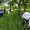 Conagua Michoacán realiza jornada de limpieza en el Río Lerma