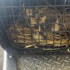 Protección Civil y Bomberos Morelia rescata a nueve patitos de una alcantarilla