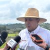Huracán pone en riesgo millones de huevos de tortuga en costas de Michoacán