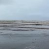 Comité de urgencias y emergencias se mantiene en la costa por regreso de «Polo» a categoría 5