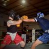 El Imcufide anuncia cartelera para función de boxeo «The Fight Night”