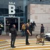 Pareja es detenida por agentes federales en la Terminal de Autobuses de Morelia; decomisan varios kilos de marihuana