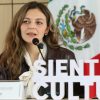 Anuncian más de 200 actividades para Quinta Feria Internacional del Libro y la Lectura