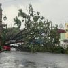 Tormenta eléctrica provoca inundaciones, caída de árboles y apagones en Morelia