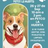 Cerca de 50 perros esperan hogar; este sábado y domingo habrá Feria de Adopción