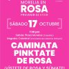 DIF Morelia invita a sumarse esta noche a la Caminata Pinktate de Rosa