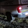 Matan a balazos a una pareja y un perro en la colonia La Nueva Aldea, en Morelia