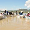 Suman 215 mil ejemplares de pez blanco liberados en el lago de Pátzcuaro