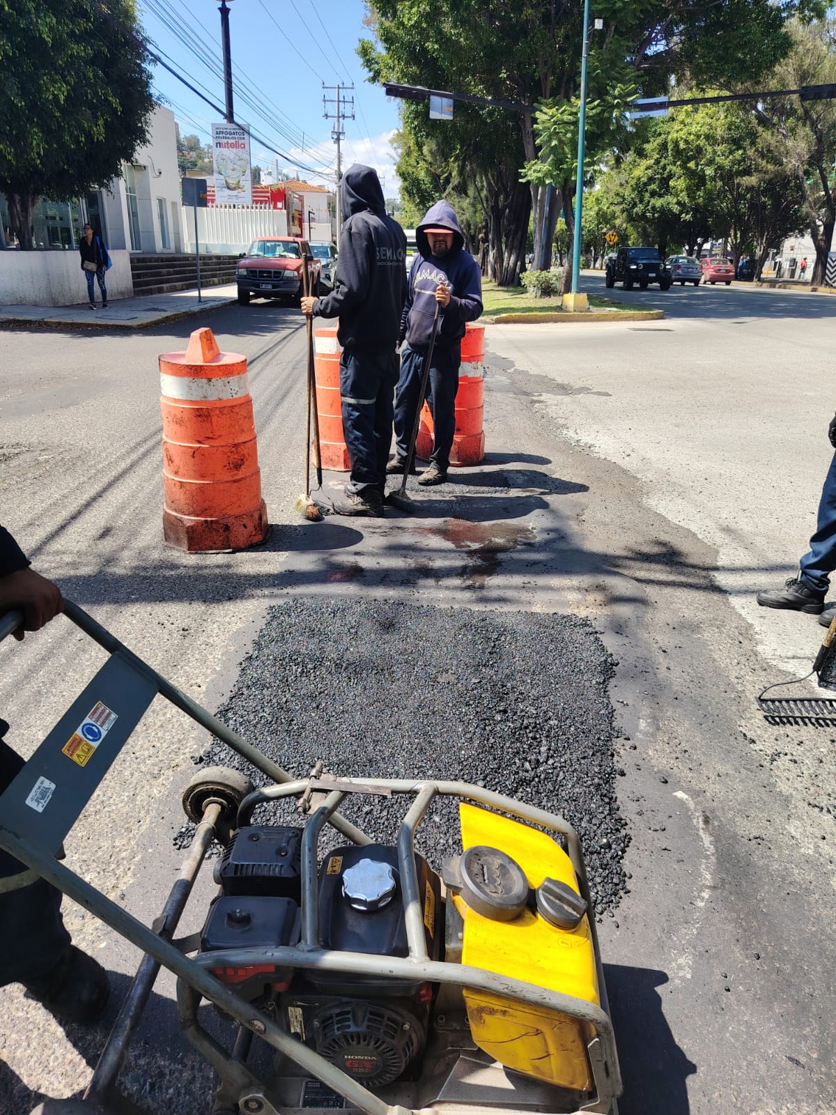 Fondo