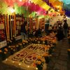Honran a los animalitos que dejaron huella en el corazón