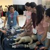 SSM prepara a personal de salud en reanimación neonatal