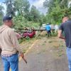 Árbol cae sobre automóvil en la carretera Uruapan-Pátzcuaro; conductor resulta lesionado