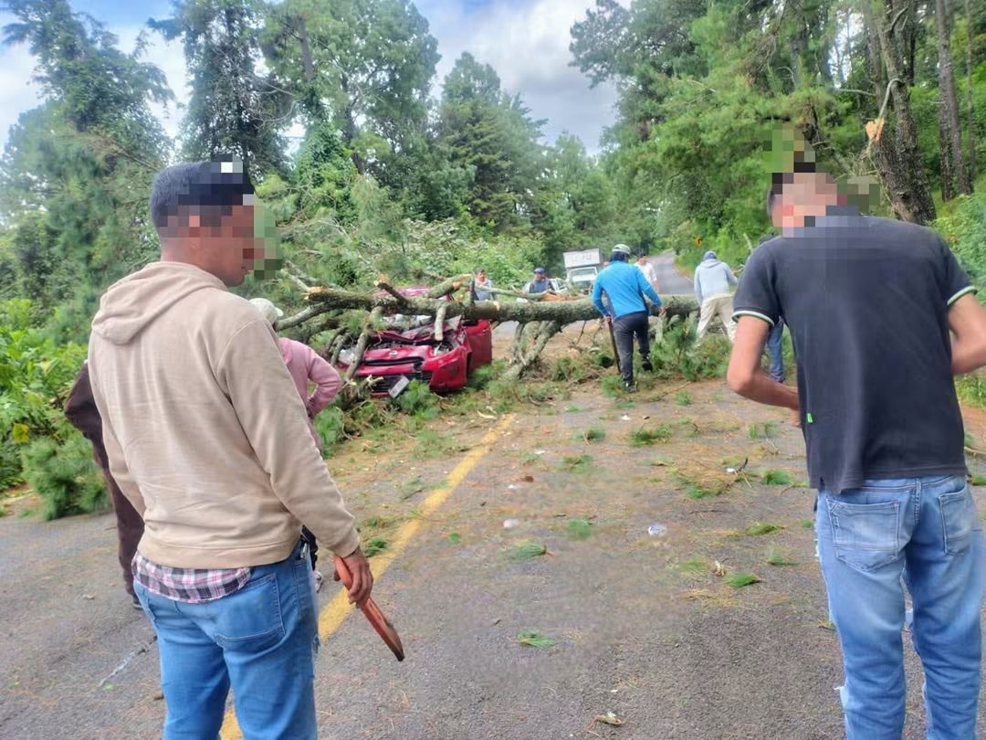 Árbol cae sobre automóvil en la carretera Uruapan-Pátzcuaro; conductor resulta lesionado