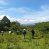 Michoacán triplica superficie de conservación forestal; más de 212 mil hectáreas protegidas