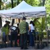 Llevan ‘Adopta un Árbol’ al Festival Internacional de Cine de Morelia