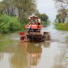 Por concluir rehabilitación de los canales de Chapultepec e Ihuatzio, en el lago de Pátzcuaro
