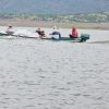 Donan 100 mil crías de tilapia para fortalecer la producción acuícola en Churumuco
