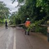 Reporta Coahuyana deslaves carreteros, caída de árboles y crecida de ríos